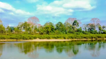 طقس مشمس نهاراً مع فرص هطول أمطار متفرقة بعد الظهر والمساء